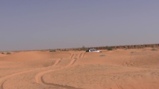 Hand Stock Footage, Dune, Sand, Desert, Landscape, Soil
