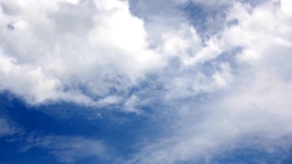 Horse Stock Video, Sky, Atmosphere, Cloudiness, Weather, Clouds