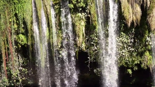 House Stock Video, Fountain, Structure, Forest, Tree, Landscape
