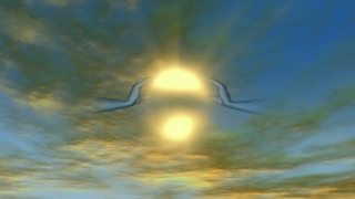 Html Video Background, Sun, Sky, Water Snake, Clouds, Sunset