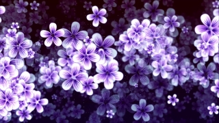 Lilac, Plant, Flower, Herb, Floral, Design