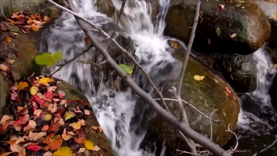 Loop Video, Waterfall, River, Water, Stream, Rock