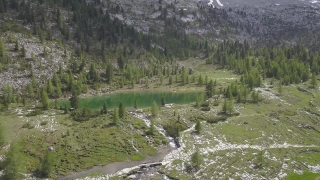 Looped Video, Forest, Land, River, Landscape, Water