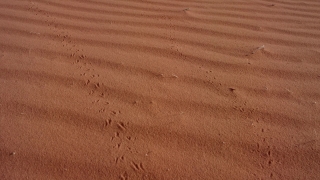 Nature 4k Video Mp4 Download, Sand, Dune, Soil, Earth, Texture