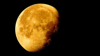 No Copyright Amazon Gadgets Videos, Moon, Crater, Planet, Space, Natural Depression