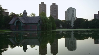 No Copyright Short Video, Architecture, River, Building, City, Water