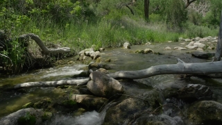 No Copyright Video, Forest, River, Stream, Water, Waterfall