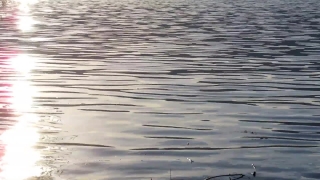 No Copyright Video Hd, Water, Ocean, Reflection, Lake, Sea