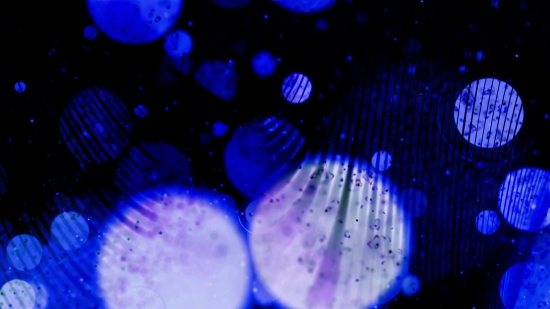 Jellyfish, Invertebrate, Light, Animal, Digital, Space