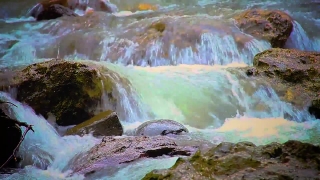 Quran Stock Footage, Waterfall, River, Stream, Water, Rock