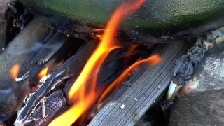 Stock 4k Video Download, Goldfish, Heat, Flame, Fire, Hot
