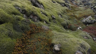 Stock Footage, Ascent, Slope, Mountain, Highland, Landscape