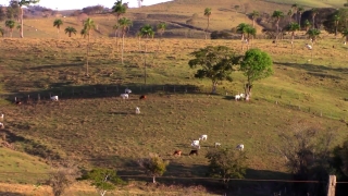 Stock Footage Hd 1080p, Landscape, Field, Grass, Rural, Sky