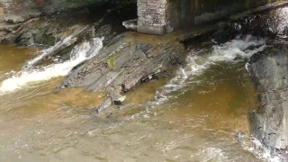 Stock Video Clips, Water, River, Channel, Rock, Stream