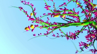 Stock Video Effects, Pink, Flower, Plant, Tree, Branch