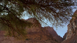 Stock Video Footage, Canyon, Cliff, Landscape, Mountain, Park