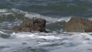 Stock Video Intro, Ocean, Body Of Water, Sea, Promontory, Water