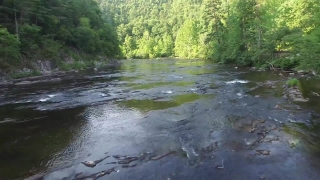 Storyblocks Footage, River, Forest, Body Of Water, Water, Landscape