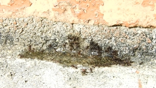 Stucco, Grunge, Dirty, Old, Wall, Aged