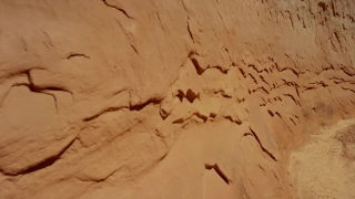 Tiger Stock Footage, Sand, Dune, Soil, Old, Texture