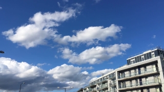 Tree Stock Video, Sky, Atmosphere, Clouds, Weather, Cloud