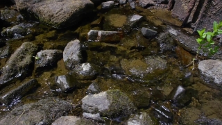 Vfx Stock Video Footage, Water, River, Stone, Stream, Rock