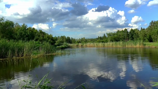 Video Background Html5, Swamp, Wetland, Land, Lake, Landscape