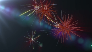 Video Backgrounds For Websites, Firework, Explosive, Fireworks, Night, Festival