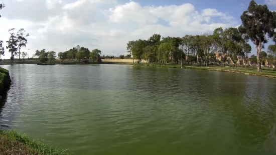 Video Downloader Using Url, Basin, Natural Depression, Lake, Lakeside, Shore