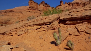Video Footage Background, Desert, Tract, Sand, Rock, Landscape