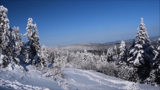Video Footage No Copyright, Mountain, Snow, Alp, Winter, Slope