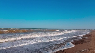 Video Footage No Copyright, Ocean, Beach, Sea, Shoreline, Coast