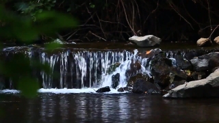 Video Footage Stock, Waterfall, Water, River, Ice, Stream