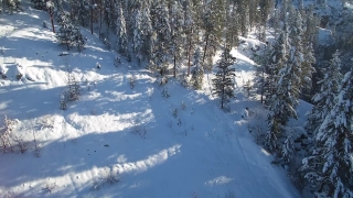 Video Moving Backgrounds, Ski Slope, Slope, Snow, Geological Formation, Winter