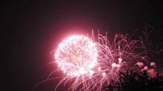 Videos For Website Background, Firework, Explosive, Fireworks, Night, Celebration