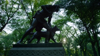 Videos Without Copyright Issues, Statue, Horse, Sculpture, Park, Tree
