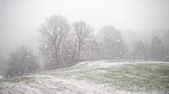 Vidio Animation, Snow, Weather, Winter, Cold, Landscape