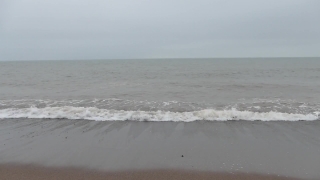 Vr Stock Footage, Ocean, Beach, Body Of Water, Sea, Sand