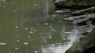 Walking Stock Footage, Channel, Water, Body Of Water, River, Landscape