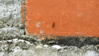 Wall, Old, Grunge, Texture, Brick, Stucco