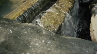 Water, Rock, Invertebrate, Waterfall, River, Trilobite