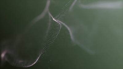 Websites For Stock Footage, Spider Web, Web, Trap, Cobweb, Insect