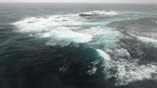 Winter Stock Video, Ocean, Sea, Baleen Whale, Body Of Water, Water