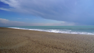 Wolf Stock Footage, Beach, Sand, Ocean, Sea, Coast