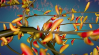 Animated Background Loops, Woody Plant, Shrub, Vascular Plant, Honeysuckle, Tree