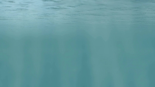 Animation Video, Ocean, Sea, Body Of Water, Water, Beach