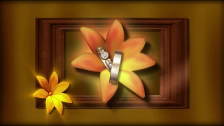 Easy Worship Moving Backgrounds, Flower, Petal, Spa, Yellow, Floral