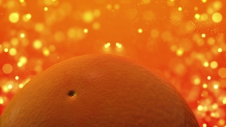 Footage Video Background, Citrus, Fruit, Edible Fruit, Mandarin, Orange