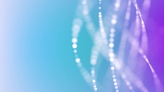Free Chroma Stock Footage - Editing, Free Footage, Keying, Royalty Free, Download, Archive