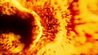 Free Money Falling Stock Footage, Polyp, Coelenterate, Heat, Invertebrate, Flame